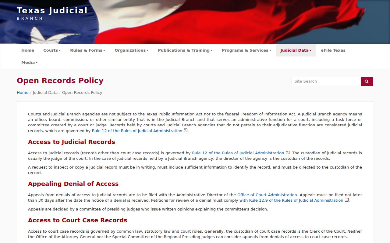 Coleman County court record Rule 12 access policy